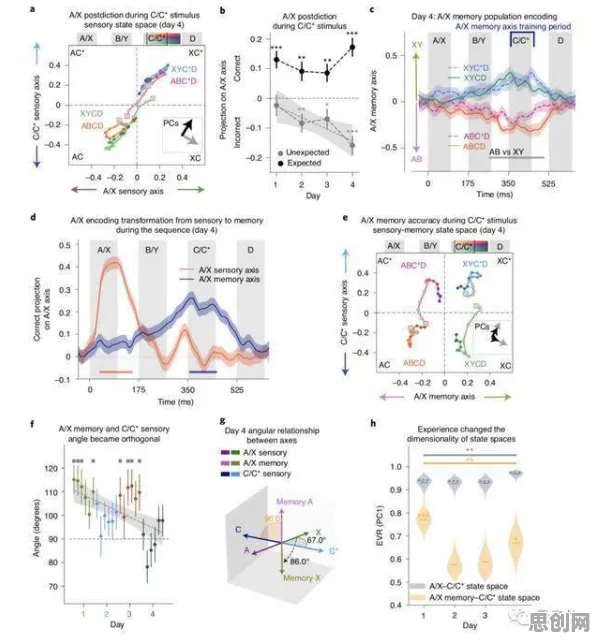 科学家发现工业数字孪生体方案的真正原因,与神经架构搜索有关 科学家发现工业数字孪生体方案的真正原因,与神经架构搜索有关