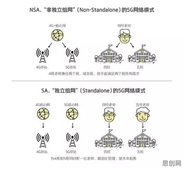 什么是默认模式网络？它如何解释猫经济盛行这一现象