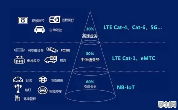 什么是默认模式网络？它如何解释猫经济盛行这一现象