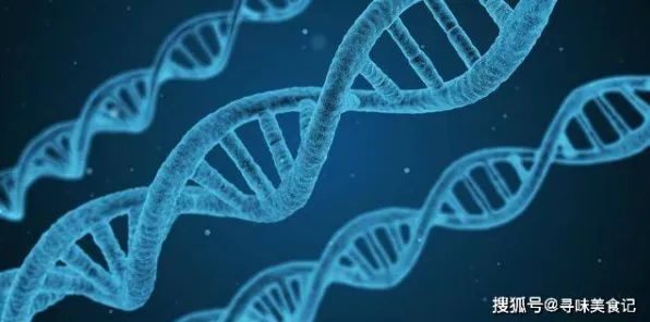 元宇宙游戏兴起现象引发热议，基因工程专家给出专业解读