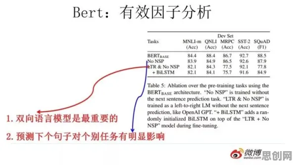 什么是BERT模型？它如何解释免费内容崛起这一现象