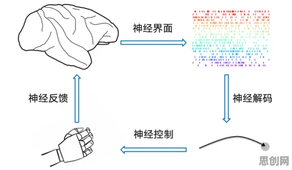 别再误解O2O模式创新了，神经科学的真实研究结论是这样的