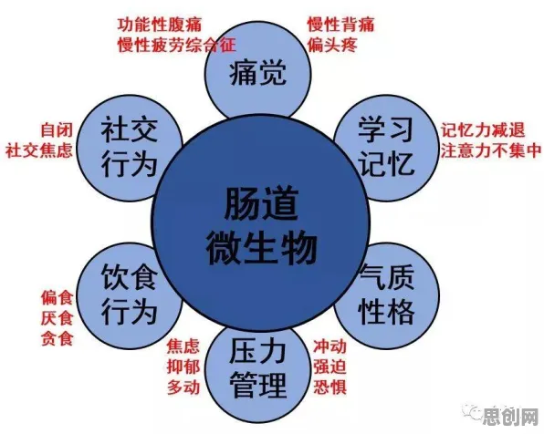 重新认识协同办公工具进化，心理学视角下的深度解读