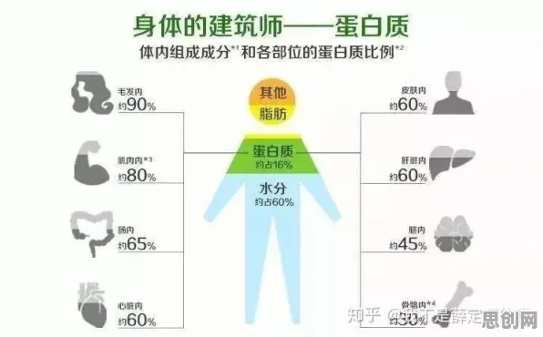 研究发现，新农人工业数字孪生体解决方案，与行为创新理论密切相关