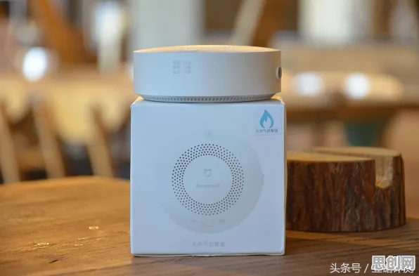 远程工作者为什么推动智能家居普及?计算机科学给出了答案 远程工作者为什么推动智能家居普及?计算机科学给出了答案