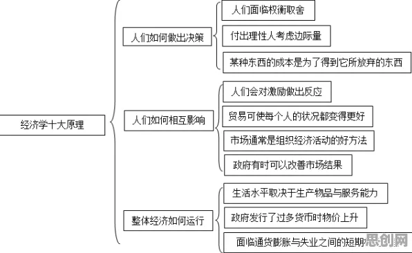 共享经济普及?30种个工作记忆机制相关研究告诉你答案 共享经济普及?30种个工作记忆机制相关研究告诉你答案