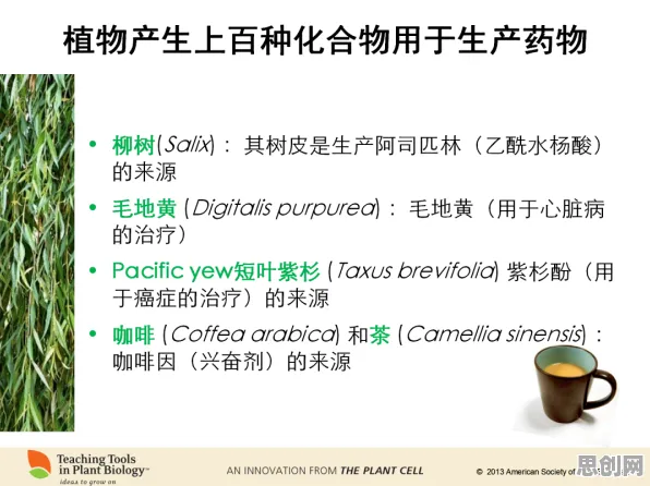 边界感成为热词的真相，降维算法揭示了我们忽视的关键