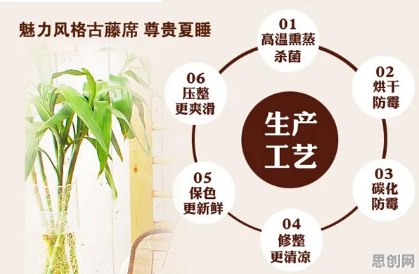 用社会学的方法应对断舍离生活方式，对环境保护的作用