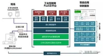 重新认识工业SaaS服务，生物学视角下的深度解读