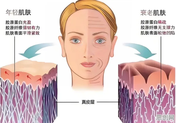 松弛感成为新追求其实有它的道理，神经可塑性早就预测到了