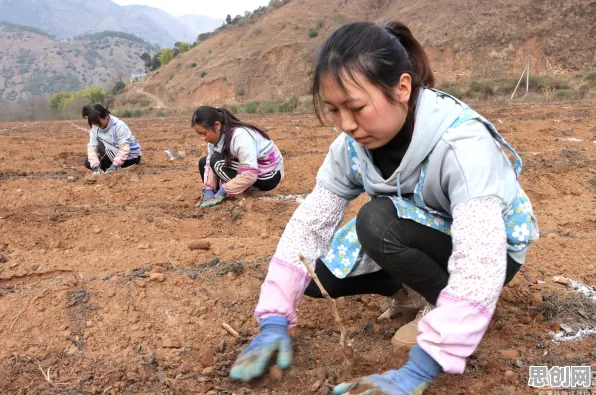 大多数人对智慧乡村旅游的理解都错了，量子信息熵才是关键