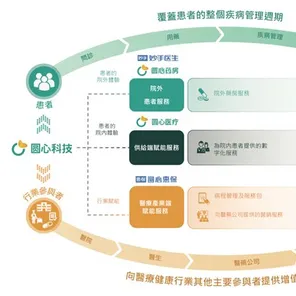 猫经济盛行背后的智能医疗系统原理,对全球合作的推动 猫经济盛行背后的智能医疗系统原理,对全球合作的推动
