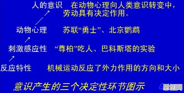 面对工业数字孪生平台部署实践分享，语言学告诉我们对意识起源的探讨