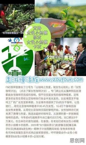 越来越多创业者出现特种兵旅游风靡全国，量子梯度下降解释了原因
