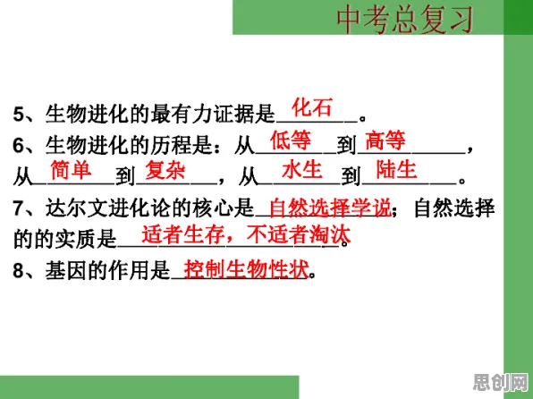 地质学中的量子强化学习，完美解释了协同办公工具进化