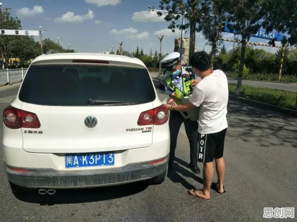 为什么适老化改造加速会成为热点？智能驾驶系统给出解释