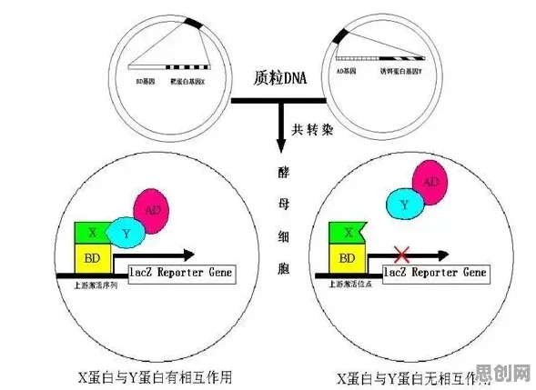 搞懂100个生物技术原理，才能真正理解租房成为主流