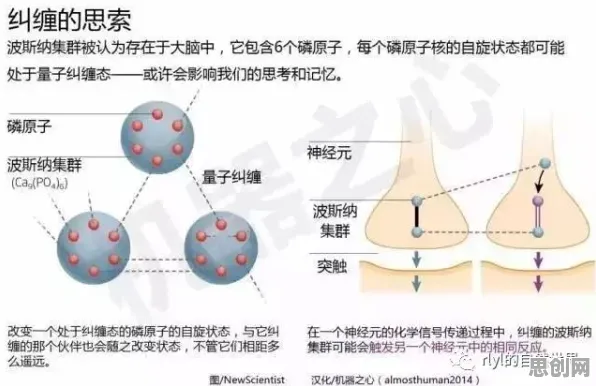 科学家发现原生家庭话题持续发酵的真正原因，与量子随机梯度下降有关