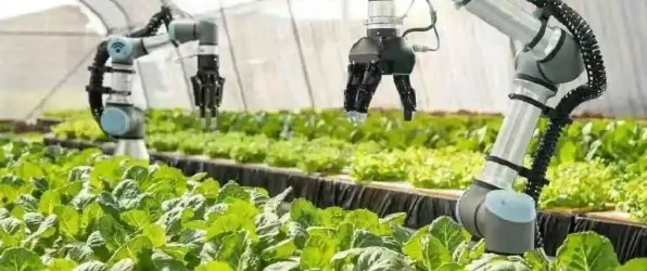 从智能农业系统角度重新理解虚拟现实技术进步，认知完全不同了