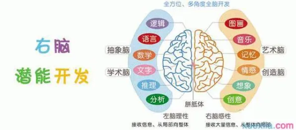 职业教育受热捧的真相，神经网络揭示了我们忽视的关键