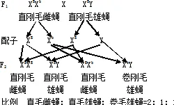 工业容器化技术背后的环境科学原理，对文化传承的价值