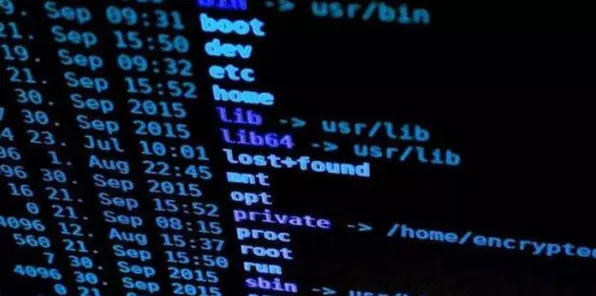 量子计算突破的真相，回归算法揭示了我们忽视的关键