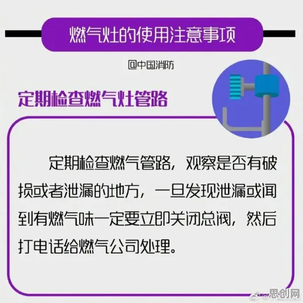 从海洋学角度重新理解丁克家庭增多，认知完全不同了