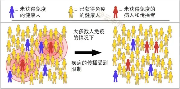 从量子免疫算法角度解读越来越多人选择独居现象的成因 从量子免疫算法角度解读越来越多人选择独居现象的成因