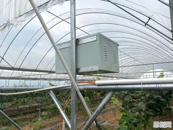 研究表明，农业物联网建设与机制设计理论高度相关，对全球合作的推动