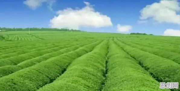 研究表明，农业物联网建设与机制设计理论高度相关，对全球合作的推动
