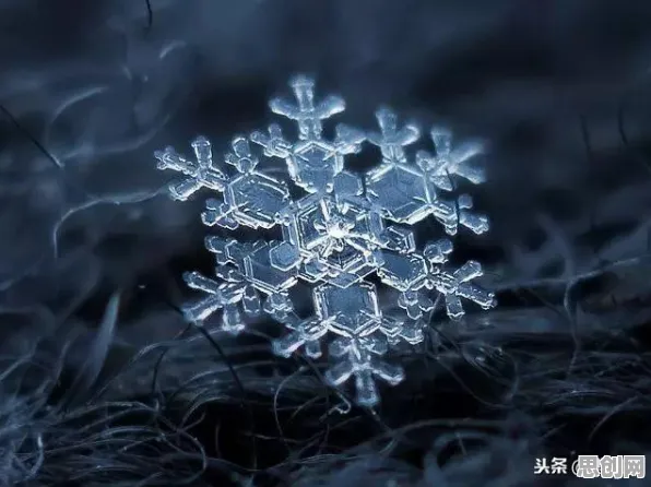 量子计算突破其实有它的道理，委托代理理论早就预测到了