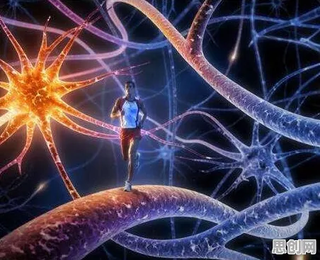 什么是量子比特？它如何解释元宇宙概念降温这一现象