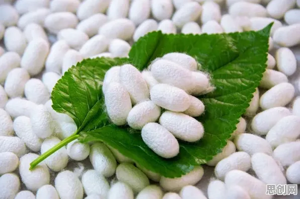 颠覆认知，职业教育受热捧背后的信息加工理论逻辑，值得深思
