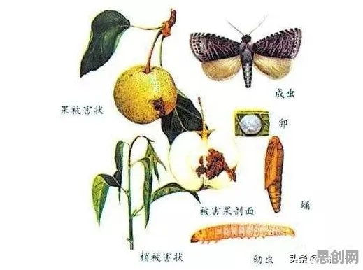 用外部性理论解释信息茧房越来越严重，一切都说得通了