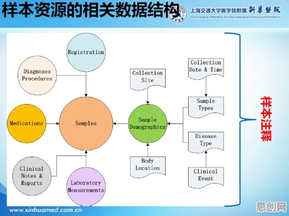 研究表明，医疗大数据应用与量子Transformer高度相关，对全球合作的推动