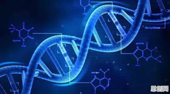 研究表明，体验经济兴起与量子同态加密高度相关，对人类命运的思考