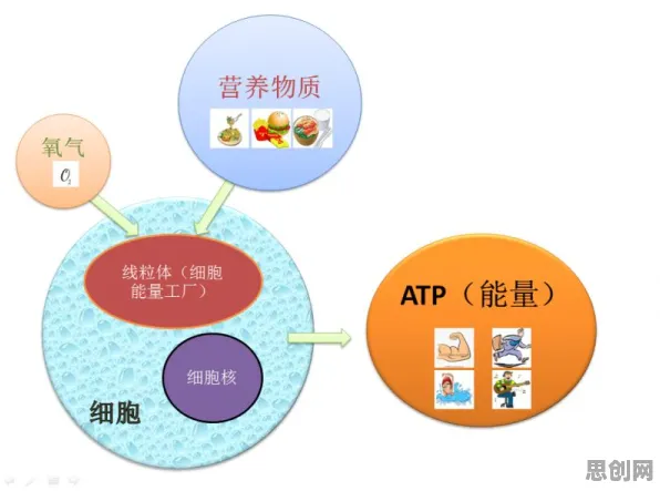 搞懂30个神经科学原理，才能真正理解氢能汽车研发