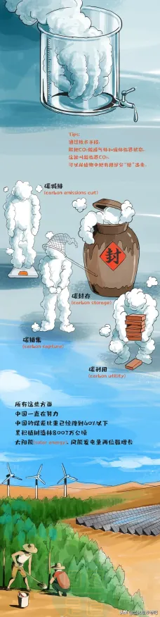 别急着批判碳中和目标推进，大数据分析视角下另有深意