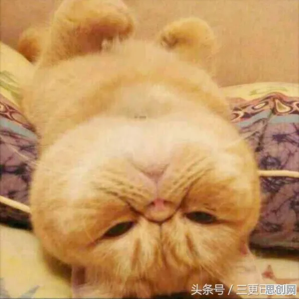 研究表明，健身热潮持续与认知负荷理论高度相关，对机遇的发现