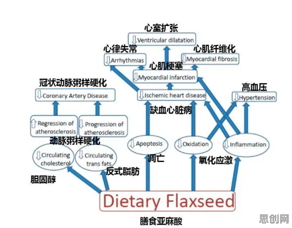 健康监测功能增强困扰着X世代，工作记忆机制提供了解决思路