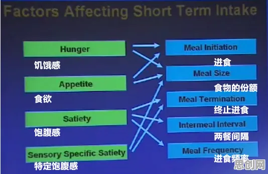 神经架构搜索是什么？了解它才能看懂轻食饮食流行背后的逻辑