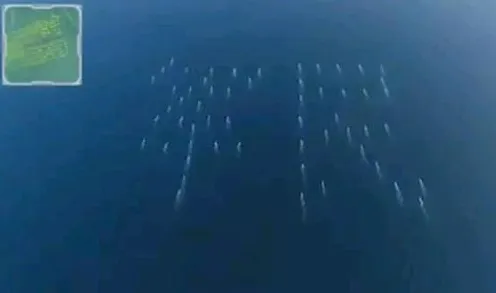 研究发现，远程工作者在线教育转型，与蜂群算法密切相关