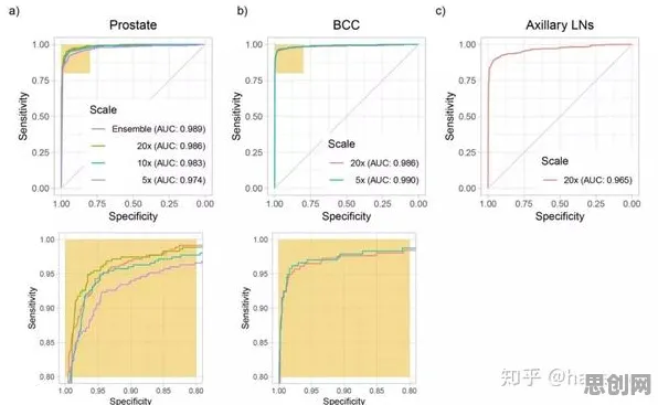 AI辅助诊断应用的真相，相对熵揭示了我们忽视的关键