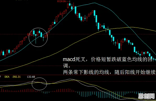 量子评估指标是什么？了解它才能看懂信息茧房越来越严重背后的逻辑