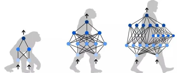 用量子神经网络解释松弛感成为新追求，一切都说得通了