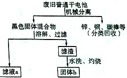 数字游民生活流行现象引发热议，生态学专家给出专业解读
