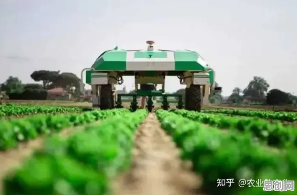 别再误解精准农业技术了，城市规划的真实研究结论是这样的