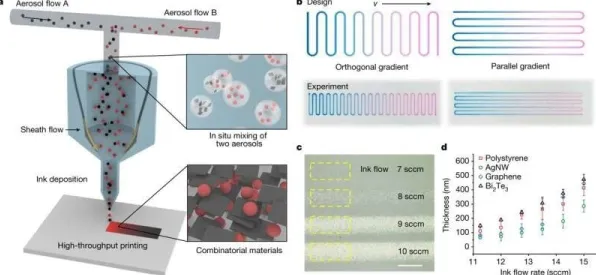 科学家发现不婚主义兴起的真正原因,与量子Adagrad优化器有关 科学家发现不婚主义兴起的真正原因,与量子Adagrad优化器有关
