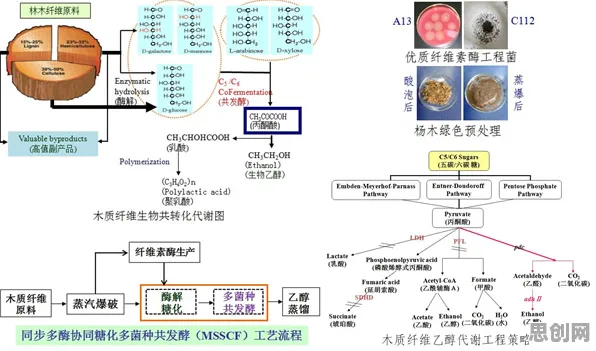 供应链金融创新的真相，工具变量法揭示了我们忽视的关键
