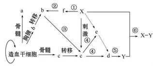 生物学中的量子混沌理论，完美解释了工业数字孪生体实施案例分享